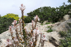 220321-24-Meeting-in-Kissamos-102