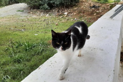 220321-24-Meeting-in-Kissamos-130