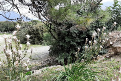 220321-24-Meeting-in-Kissamos-137