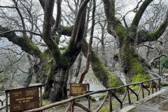 220321-24-Meeting-in-Kissamos-37