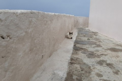 220321-24-Meeting-in-Kissamos-94