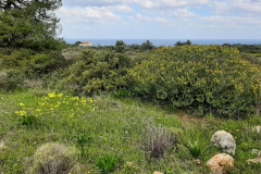 220321-24-Meeting-in-Kissamos-292