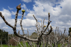 220321-24-Meeting-in-Kissamos-300