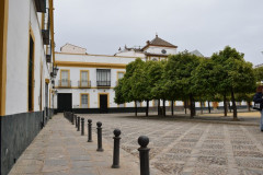 220404-Sevilla-105