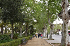 220404-Sevilla-55