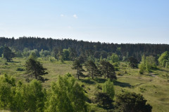 220511-Stolberg-11