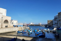 221107-Erasmus-Monopoli-Austausch-17