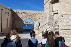 221107-Erasmus-Monopoli-Austausch-31