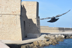 221107-Erasmus-Monopoli-Austausch-94