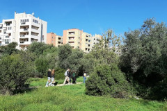 221107-Lama-Belvedere-11