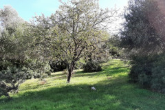 221107-Lama-Belvedere-12