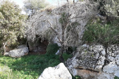 221107-Lama-Belvedere-13
