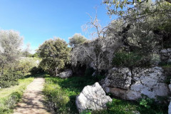 221107-Lama-Belvedere-14