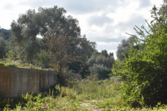 221107-Lama-Belvedere-33