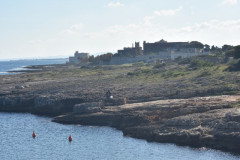 221108-Walk-along-the-coast-115