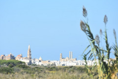 221108-Walk-along-the-coast-120