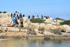 221108-Walk-along-the-coast-137