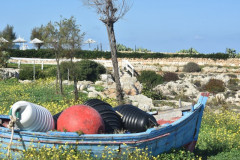 221108-Walk-along-the-coast-144
