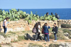 221108-Walk-along-the-coast-148