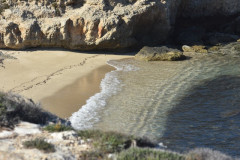 221108-Walk-along-the-coast-163