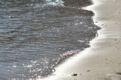 221108-Walk-along-the-coast-206
