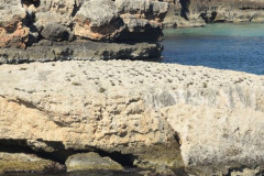 221108-Walk-along-the-coast-240