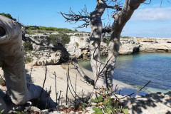 221108-Walk-along-the-coast-28