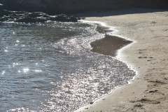 221108-Walk-along-the-coast-64