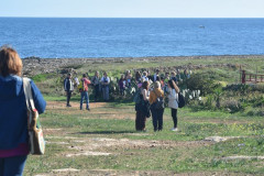221108-Walk-along-the-coast-67