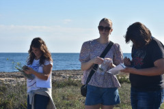221108-Walk-along-the-coast-82