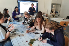 221108-Herbarium-Workshop-08