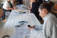 221108-Herbarium-Workshop-15