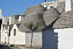 221109-Alberobello-130