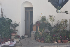 221109-Alberobello-160