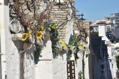 221109-Alberobello-192