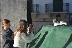221109-Alberobello-95