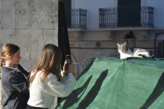 221109-Alberobello-97