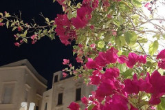 221109-Polignano-a-mare-35