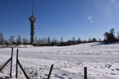 230329-Strinda-Day-73