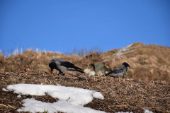 230330-Roros-Day-171