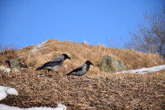 230330-Roros-Day-172