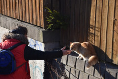 230330-Roros-Day-200