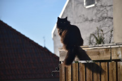 230330-Roros-Day-203