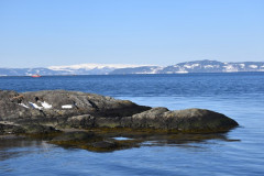 230331-Lade-Day-28