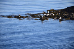 230331-Lade-Day-30
