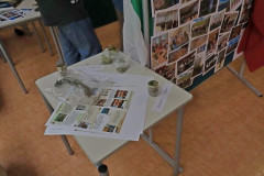 230510-Final-Meeting-Stolberg-K-05