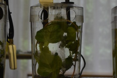 230512-Exhibition-74